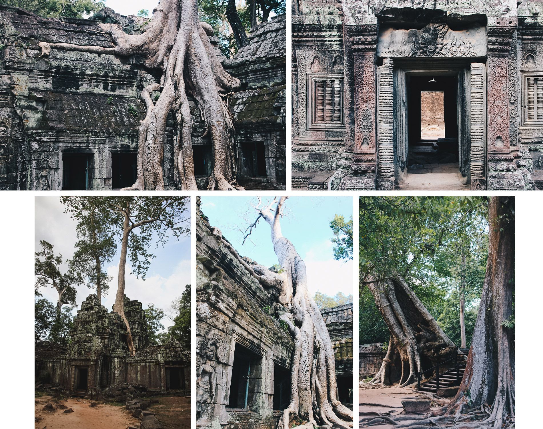 Cambodge | Siemp reap | Angkor