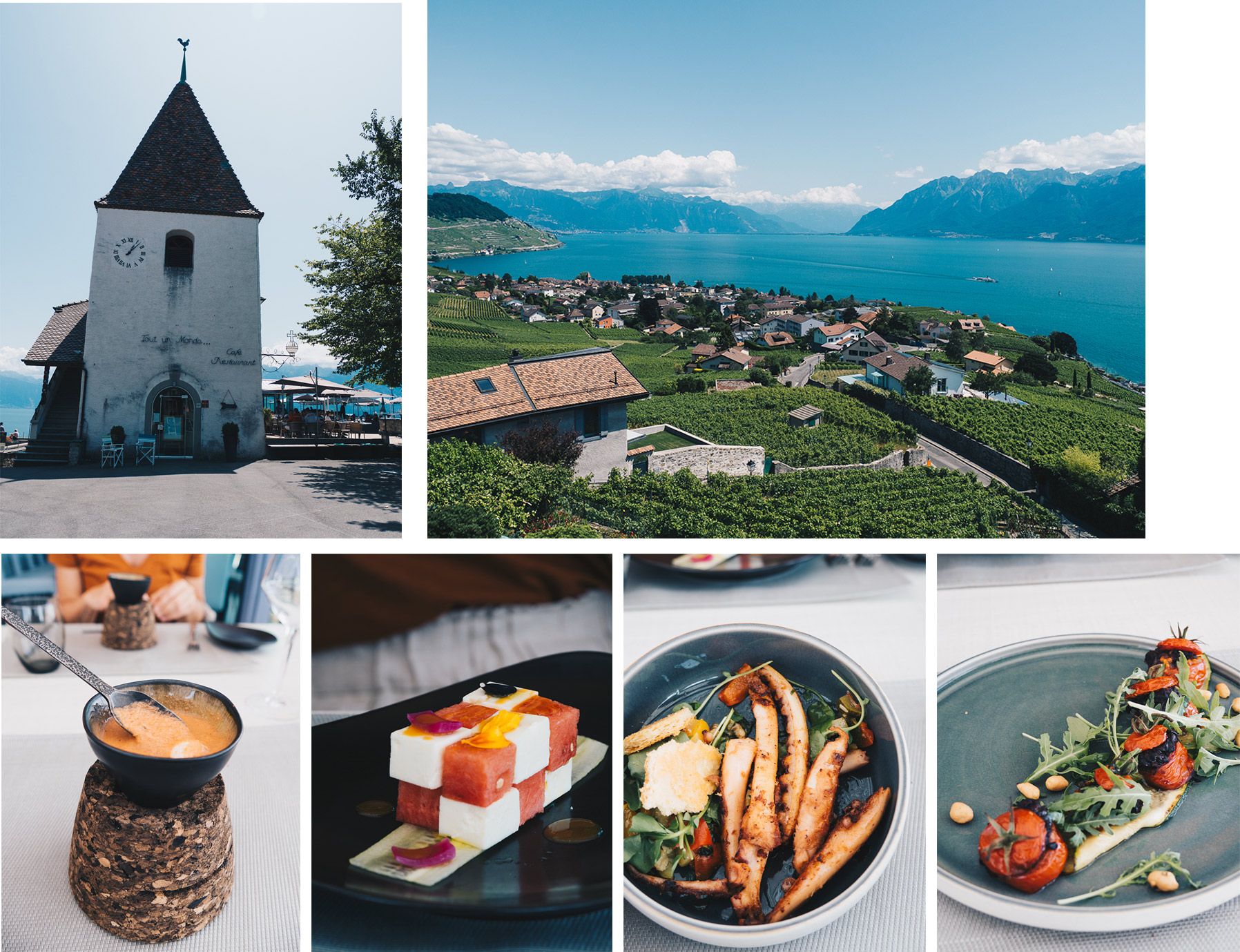 Suisse | Lausanne | Vignoble de lavaux | Mademoiselle-voyage | conseils