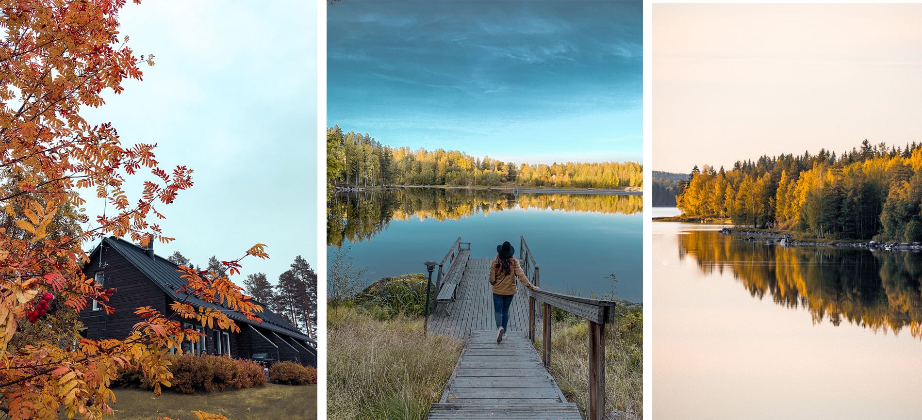 Finlande | région grands lacs | automne