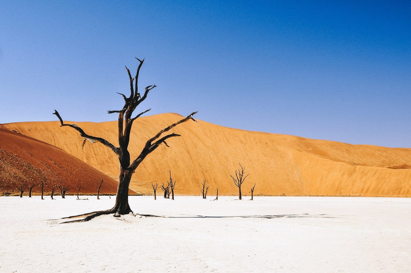 7 raisons de visiter la Namibie