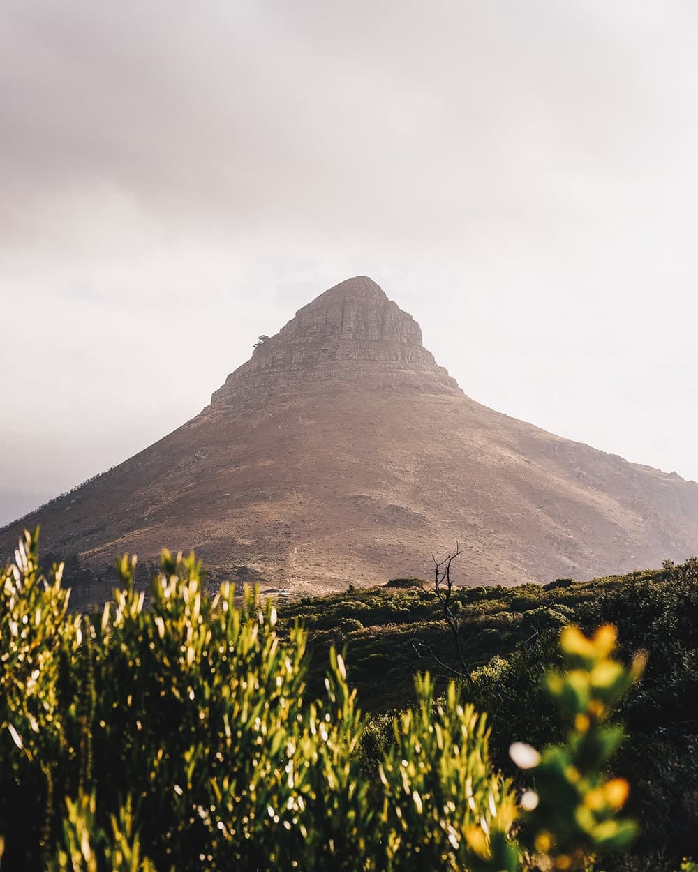 Que faire à Cape Town