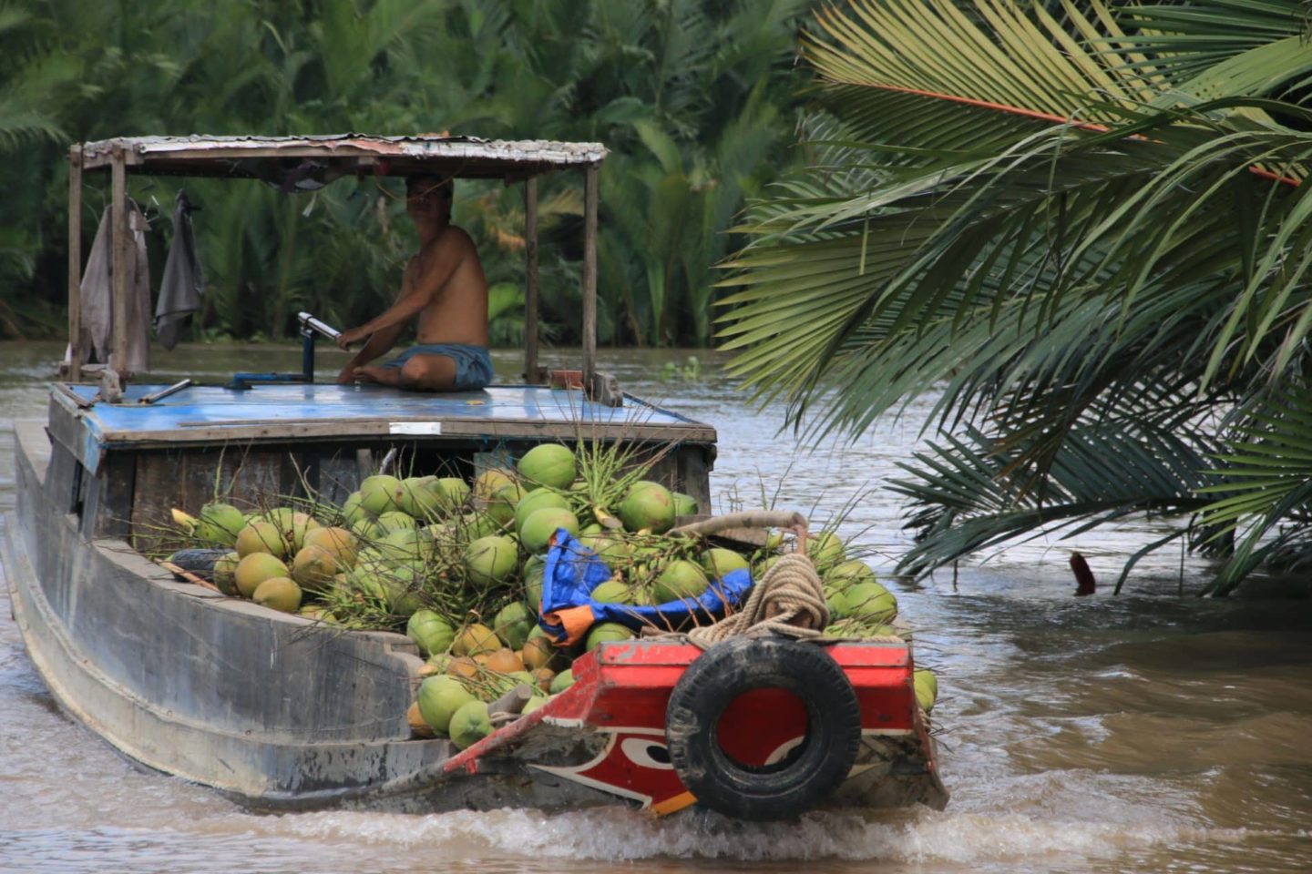 Vietnam: notre Top 5 des choses à voir sur le Delta du Mékong