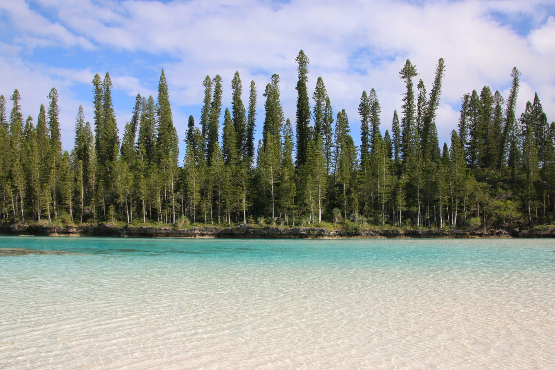 NOUVELLE CALEDONIE ILE DES PINS