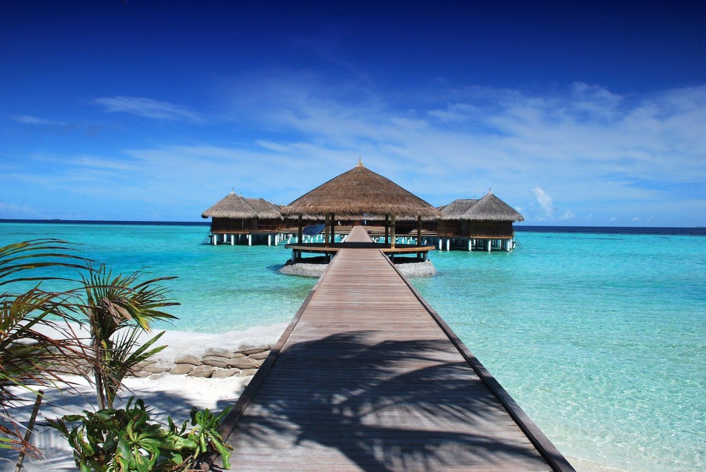 cuba plage paradisiaque