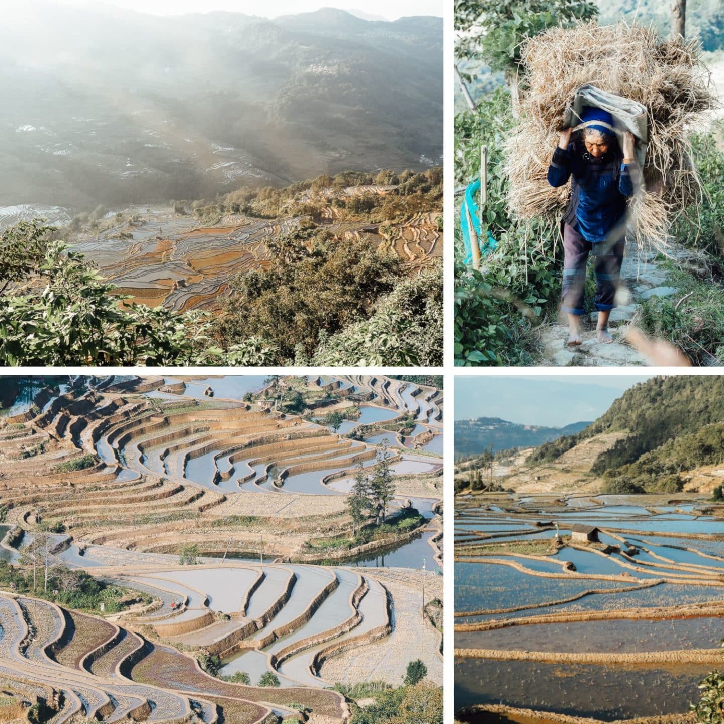 Rizières de yuanyang en Chine dans la province de Yunnan