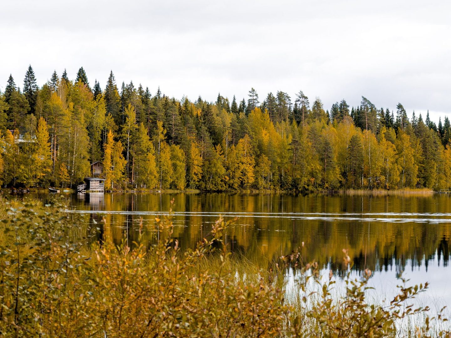 Autumn in Finland | Discover Jyvaskylä and Lahti in the Great Lakes region