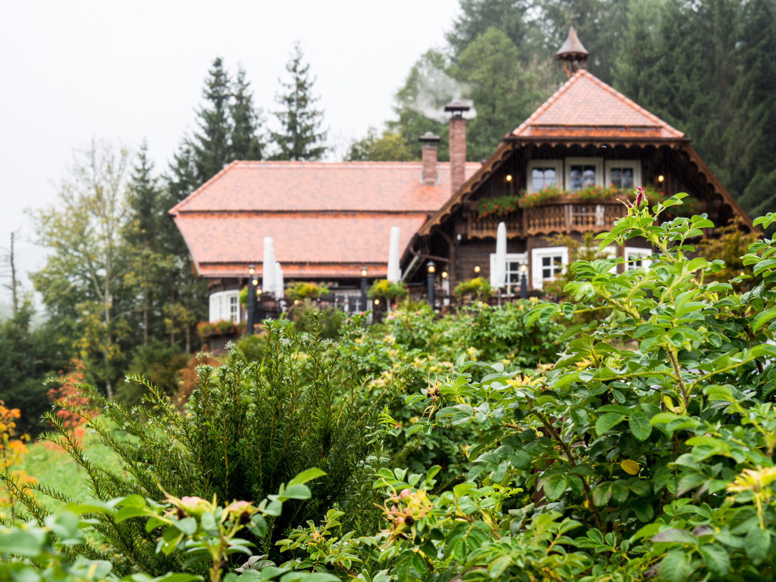 Visiter la Forêt Noire en Allemagne Notre itinéraire Mademoiselle