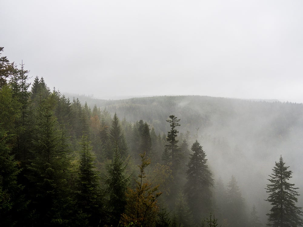 5 jours en Forêt Noire | Notre Itinéraire