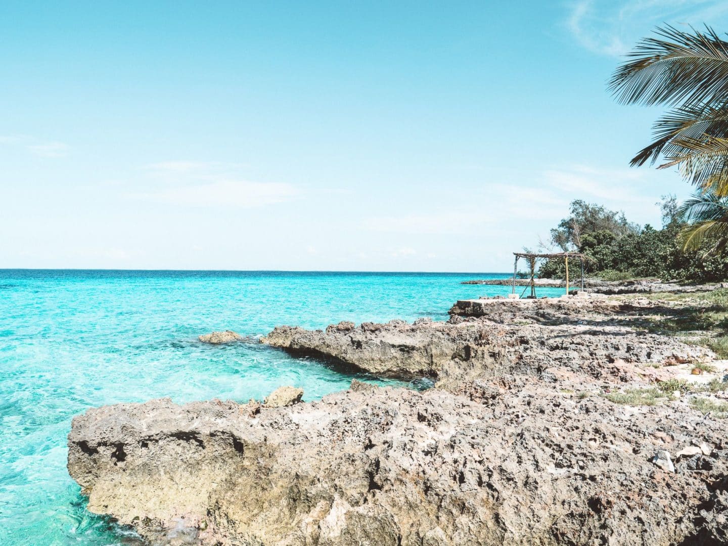 Playa Larga & Playa Giron | Découvrez les espaces naturels de la Cienaga Zapata