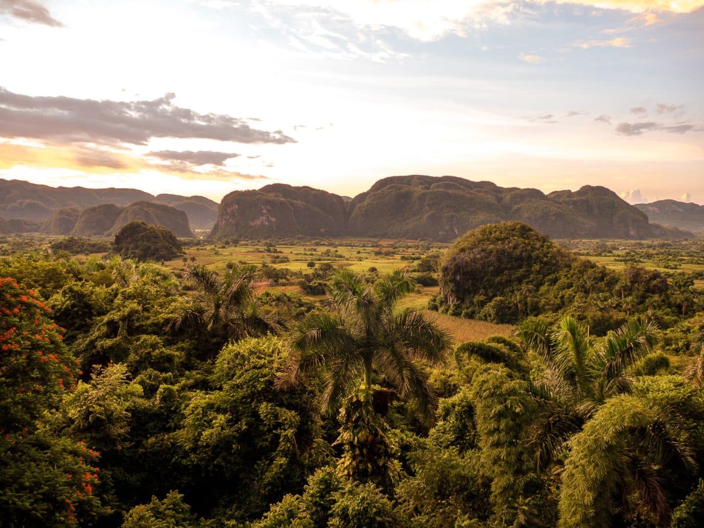 Discover Viñales, Cayos Levisa and Cayo Jutías in 3 days