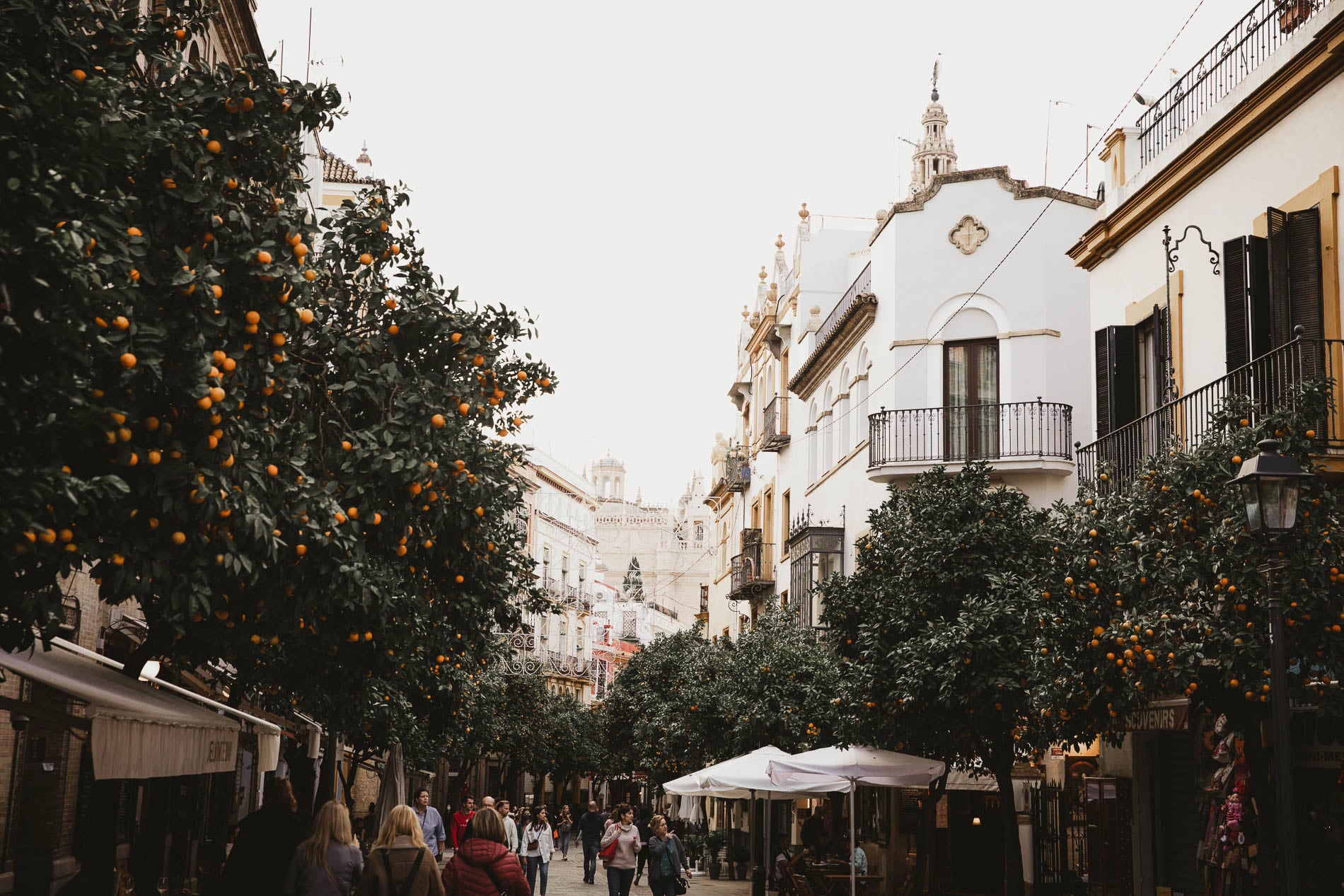 blog de voyage seville