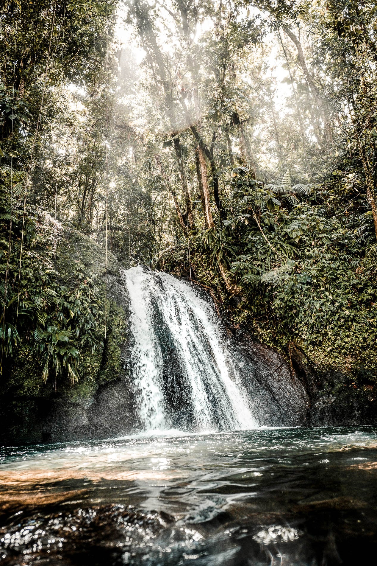 Que faire à Basse-Terre | Nos incontournables